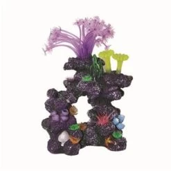 Coral Sculpture P