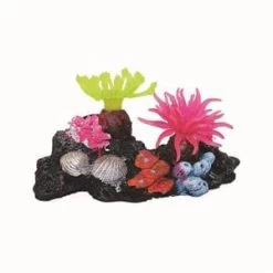 Coral Sculpture V