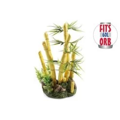 Classic Bamboo With Plants