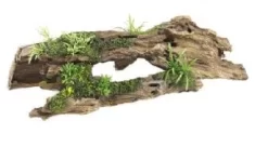 Classic Driftwood With Plants 370mm