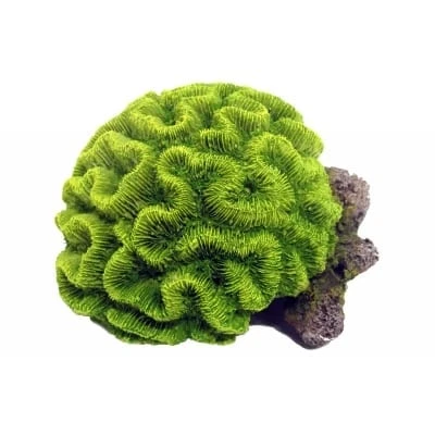 Classic Green Coral With Airstone 175mm