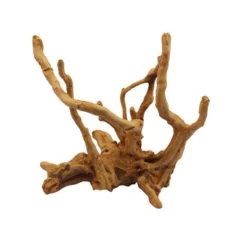 Woodscape Ornament 26 X 16 X 26cm