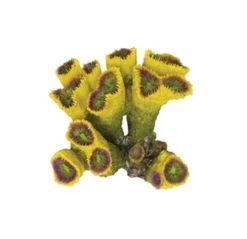 Yellow Torch Coral Ornament