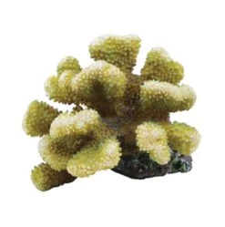 Pocoporra Coral 14 X 15 X 11cm