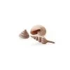 BiOrb Ornamental Seashells Natural