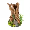Classic Gnarled Tree Stump With Plants