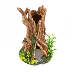 Classic Gnarled Tree Stump With Plants