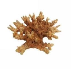 Classic Orange Coral Ornament