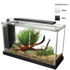Fluval Spec Aquarium Kit