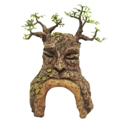 Tree Cave With Face Ornament