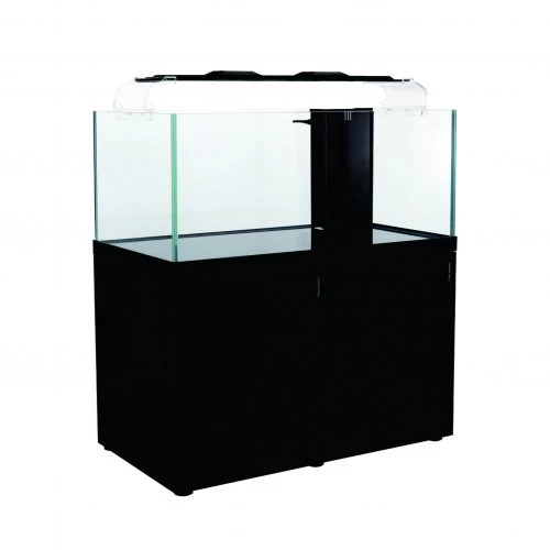 Reefscape Maxi Glass Aquarium - Image 7