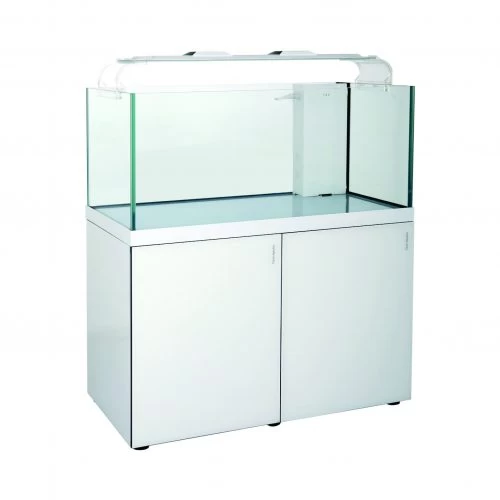 Reefscape Maxi Glass Aquarium - Image 6