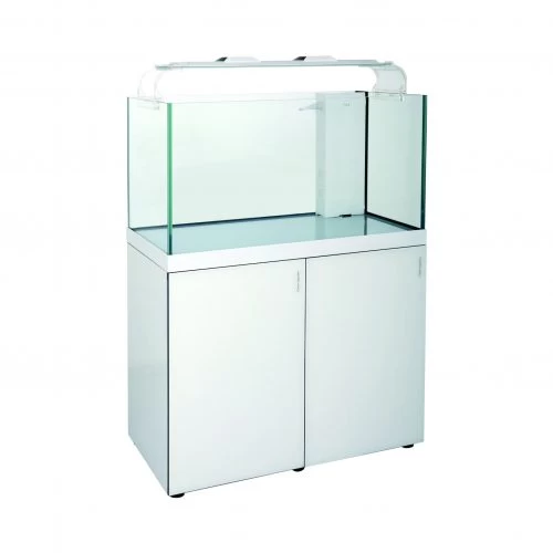Reefscape Maxi Glass Aquarium - Image 4