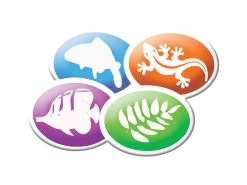 Additional Saturday Delivery