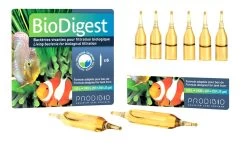 Prodibio BioDigest