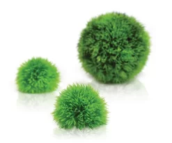 Aquatic Topiary Moss Balls X3