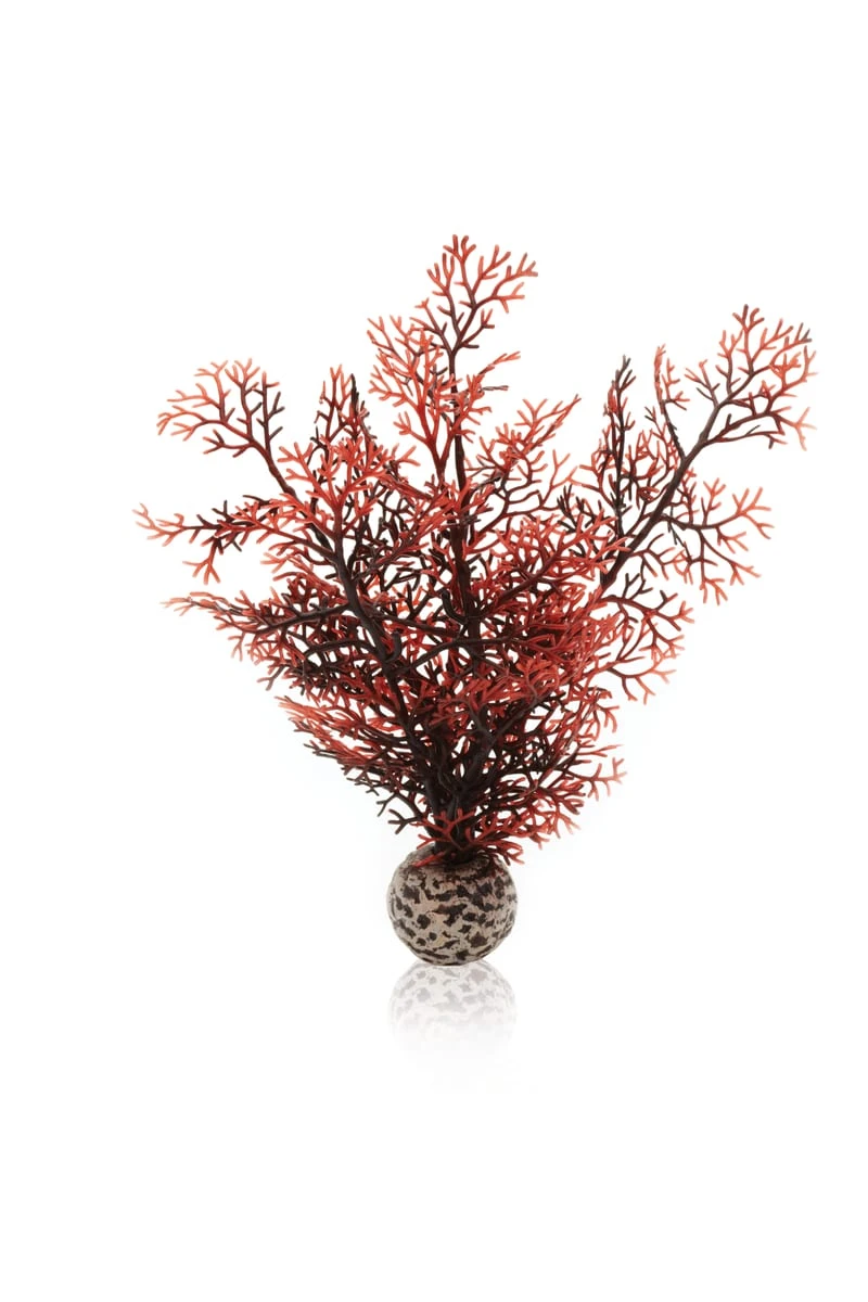 BiOrb Sea Fan Crimson