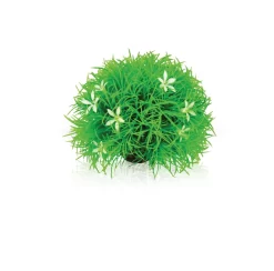 Topiary Ball With Daisies