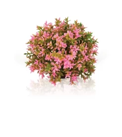 Topiary Ball Pink