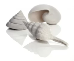 BiOrb Ornamental Seashells White
