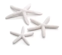 BiOrb Set 3 Starfish White