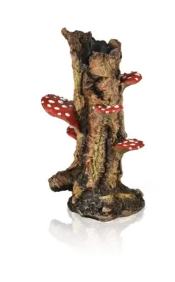 Mushroom On Trunk Medium