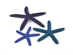 Set Of 3 Starfish Blue