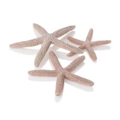 Set Of 3 Starfish Natural