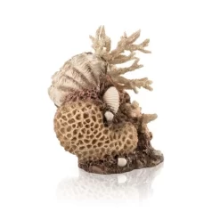 Natural Coral Shell Ornament