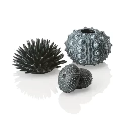 Sea Urchins Black X 3