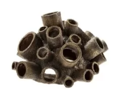 Classic Structure Swim Through