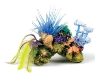 Classic Coral Cave Garden 13.5cm