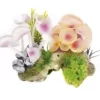 Classic Corals &amp; Anemones 14cm