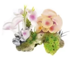 Classic Corals &amp; Anemones 14cm