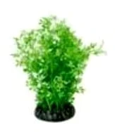 30cm Green &amp; White Wisteria