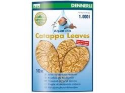 DENNERLE Catappa Leaves - Large