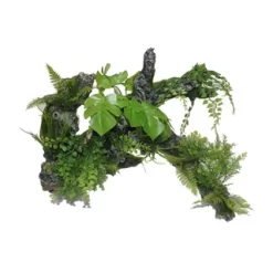 XL Root &amp; Plants