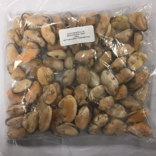 Frozen Mussels 500g